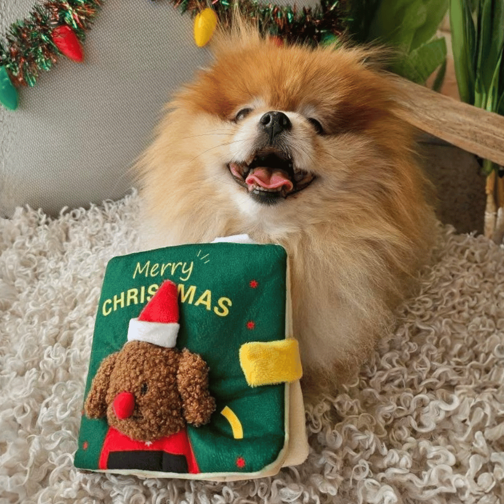 Merry Christmas Nose Work Book Toy