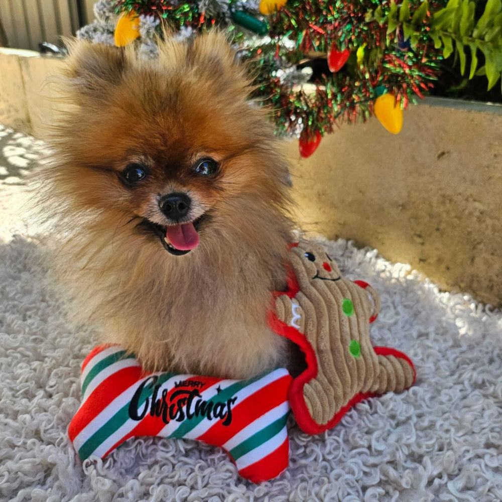 Merry Christmas Candy Stripe Plush Bone Dog Toy