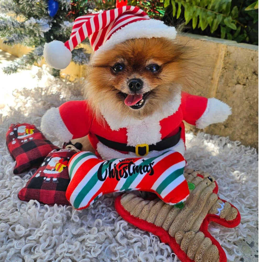Santa Claus Upright Dog Costume