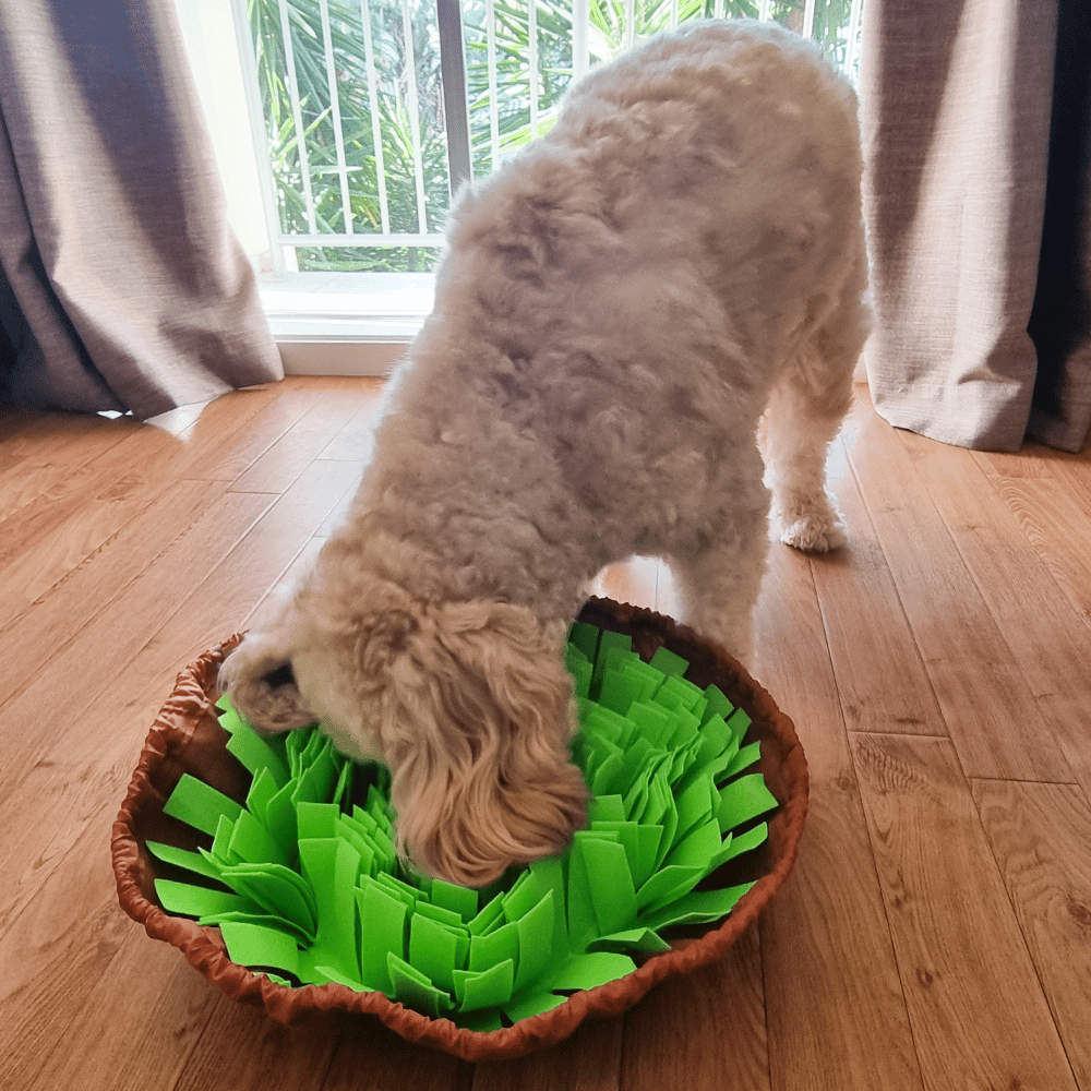 Snuffle Bowl Mat