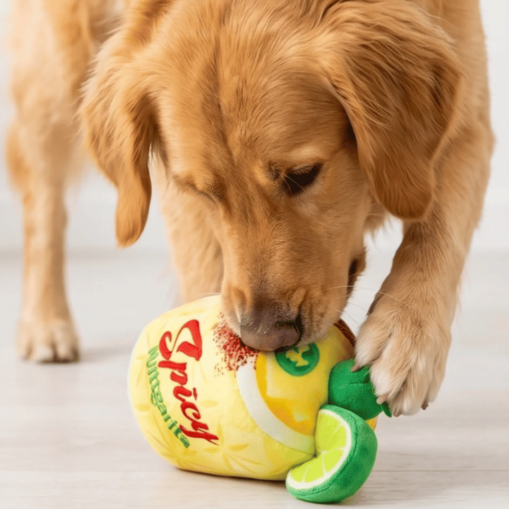 Spicy Muttgarita Drink Dog Toy
