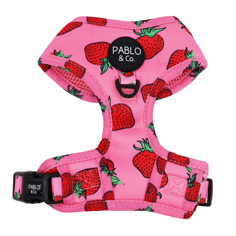 Pablo & Co Strawberries Adjustable Harness DoggyTopia