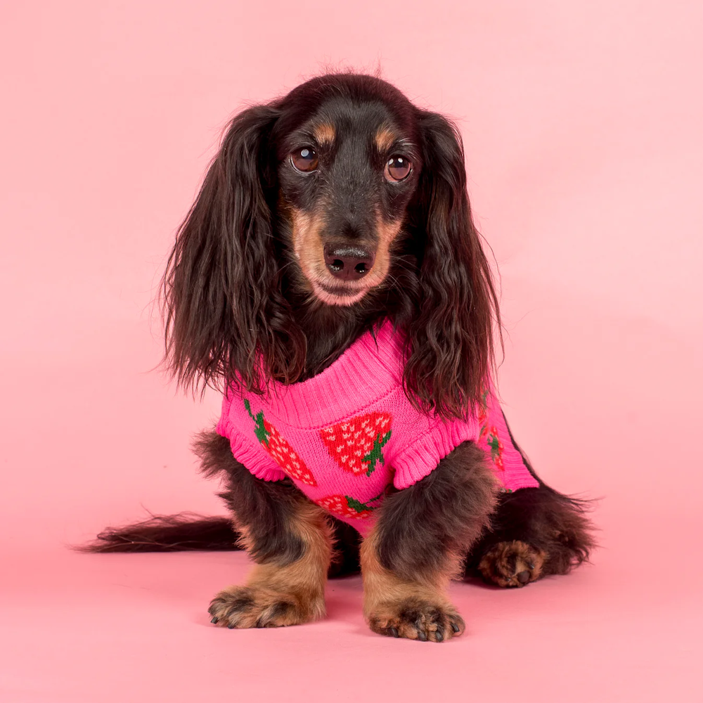 Pablo & Co Strawberries Sweater