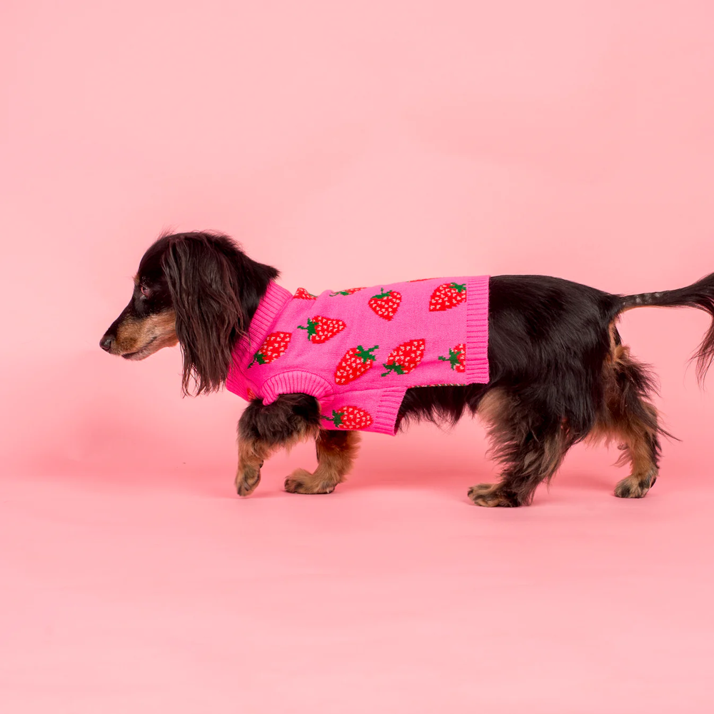 Pablo & Co Strawberries Sweater