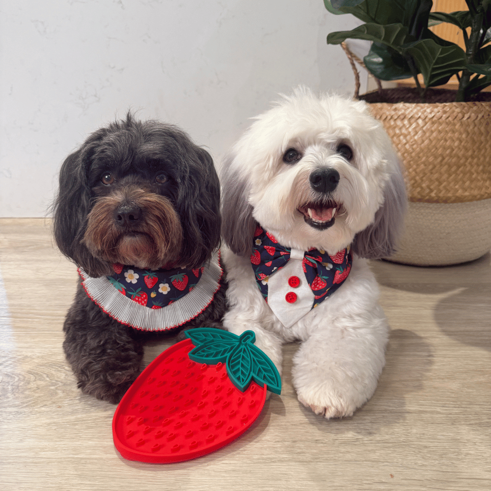 Strawberry Dog Lick Mat
