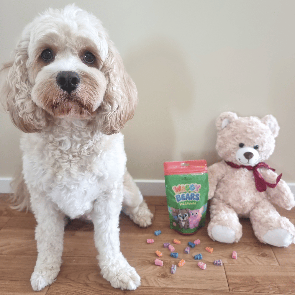 Waggy Bears Dog Lollies