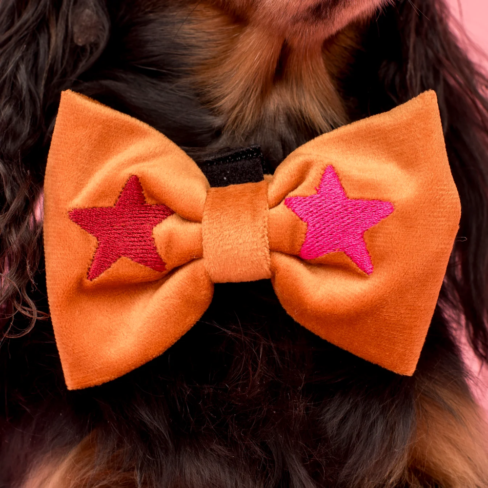 Pablo & Co You're A Star Bow Tie Velvet