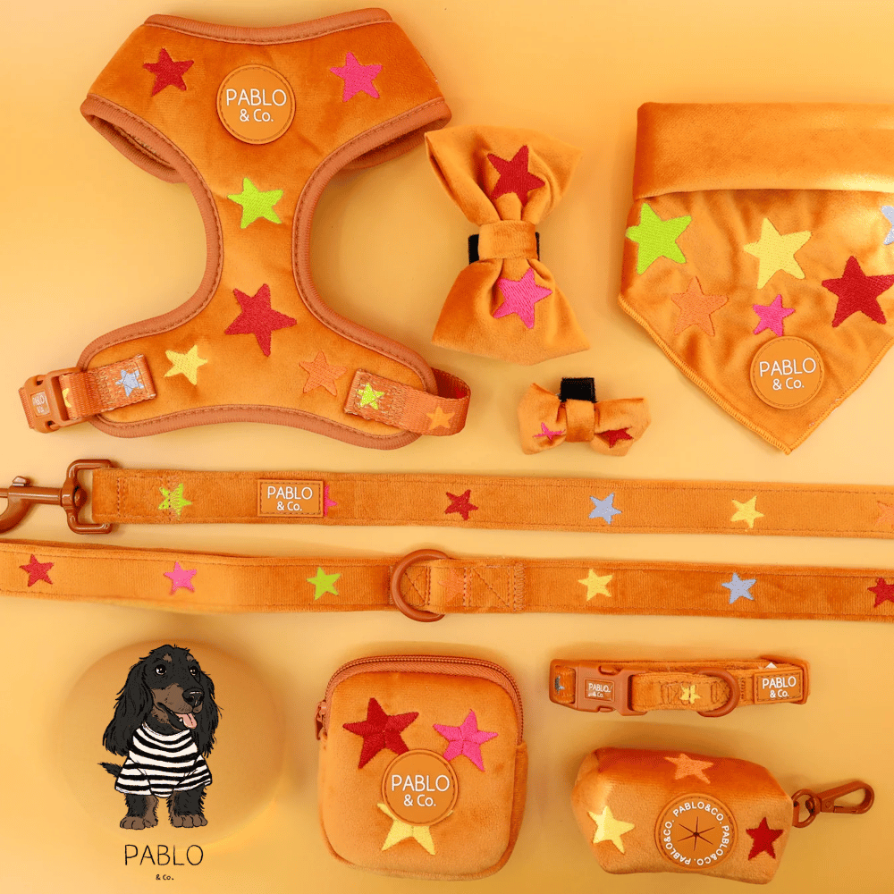 Pablo & Co You're A Star Adjustable Harness Velvet