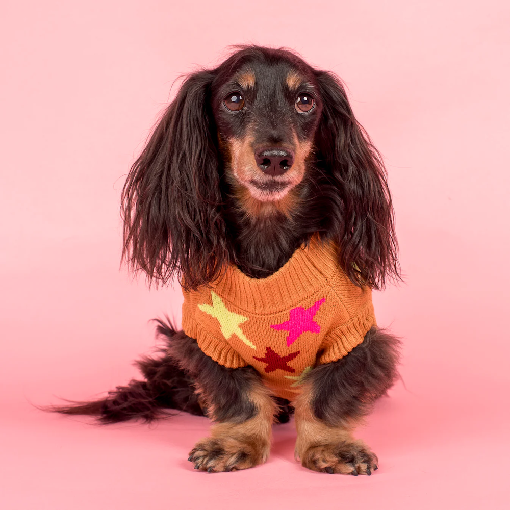 Pablo & Co You're A Star Sweater