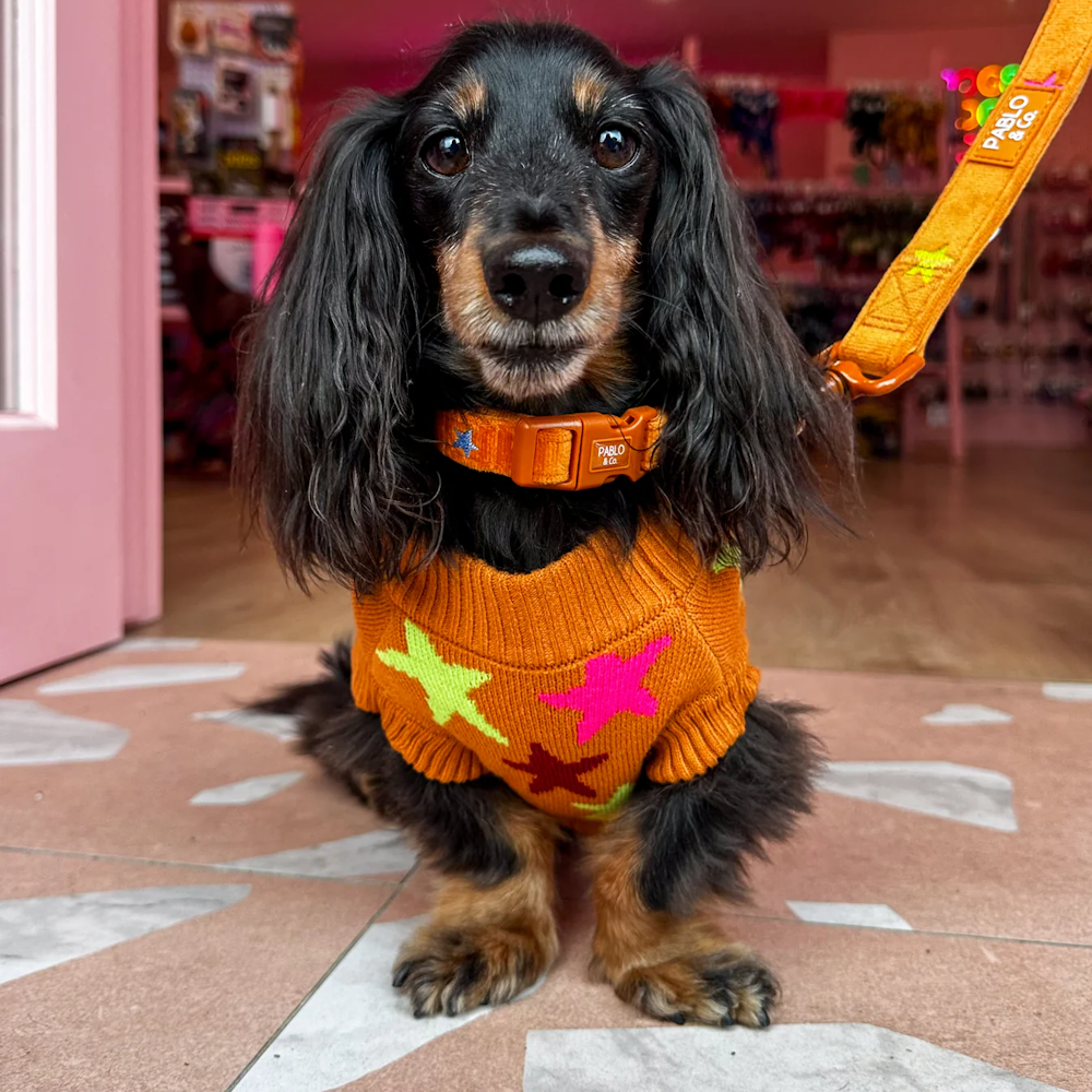 Pablo & Co You're A Star Sweater