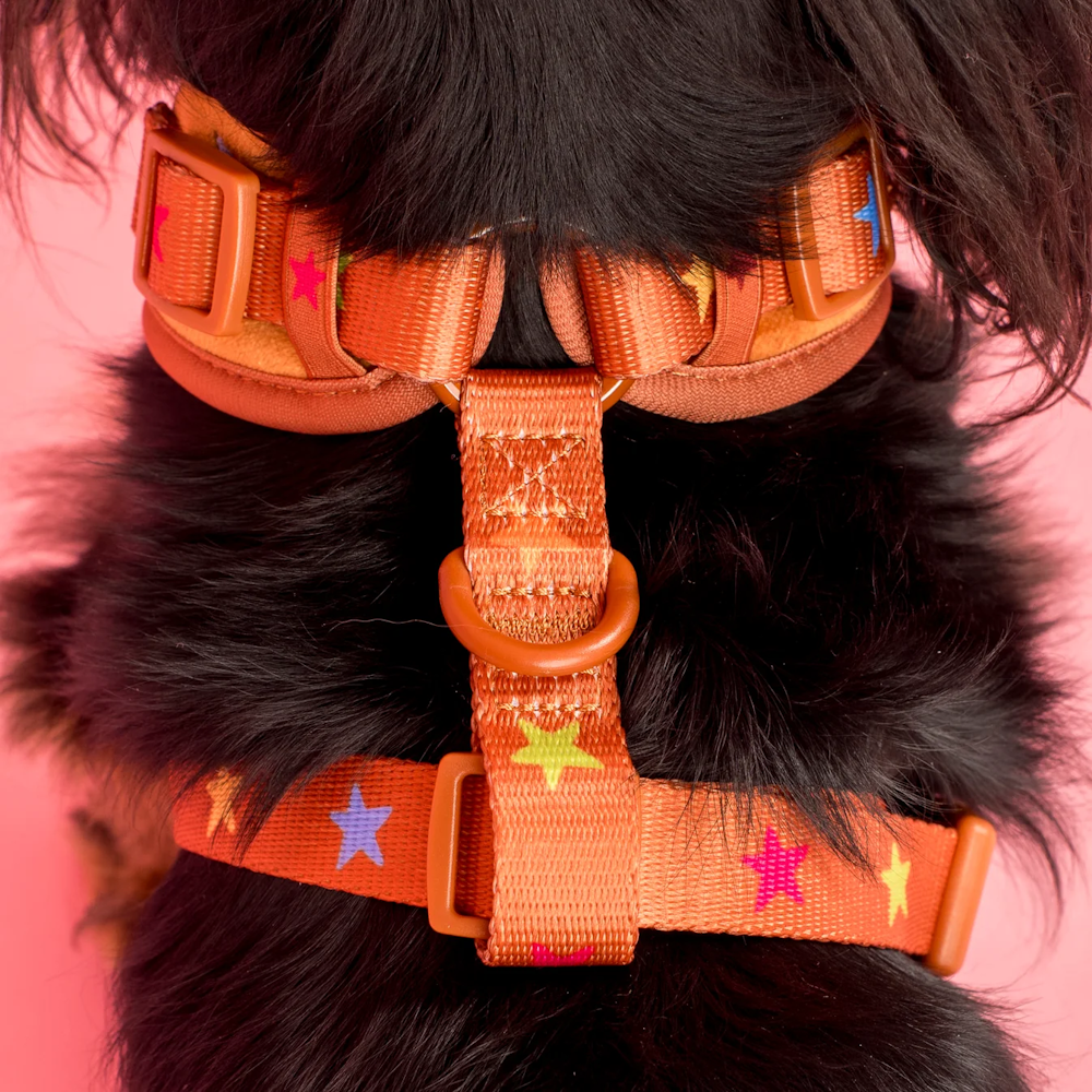 Pablo & Co You're A Star Adjustable Harness Velvet