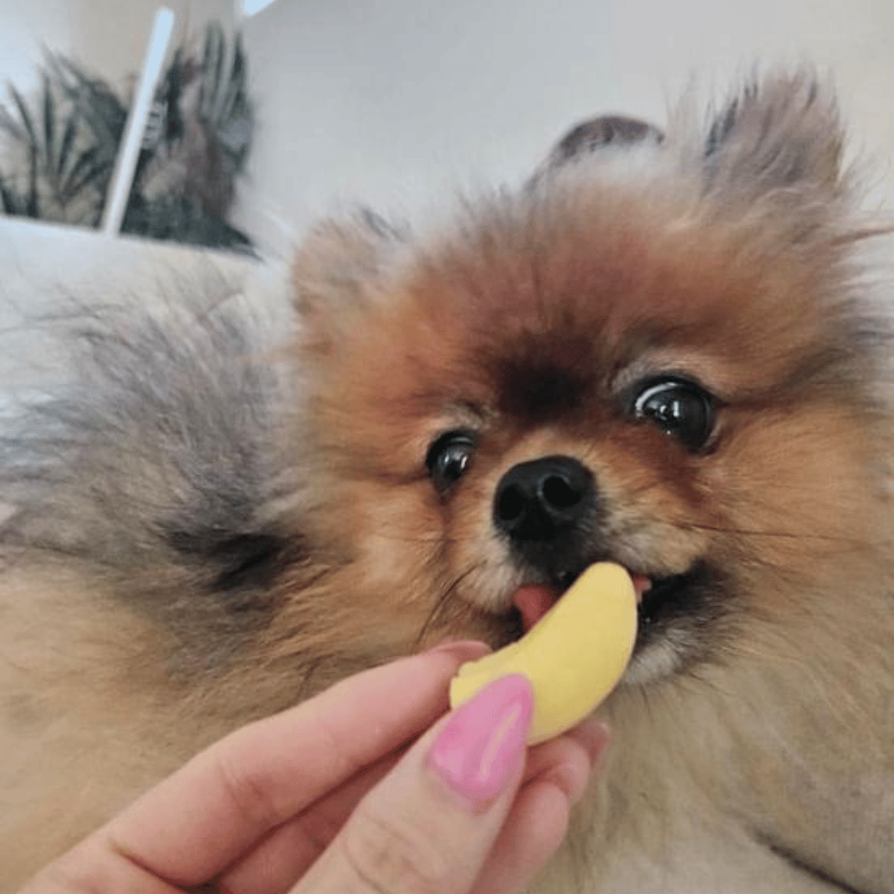 Banana Dog Lollies - Lollies from DoggyTopia at DoggyTopia