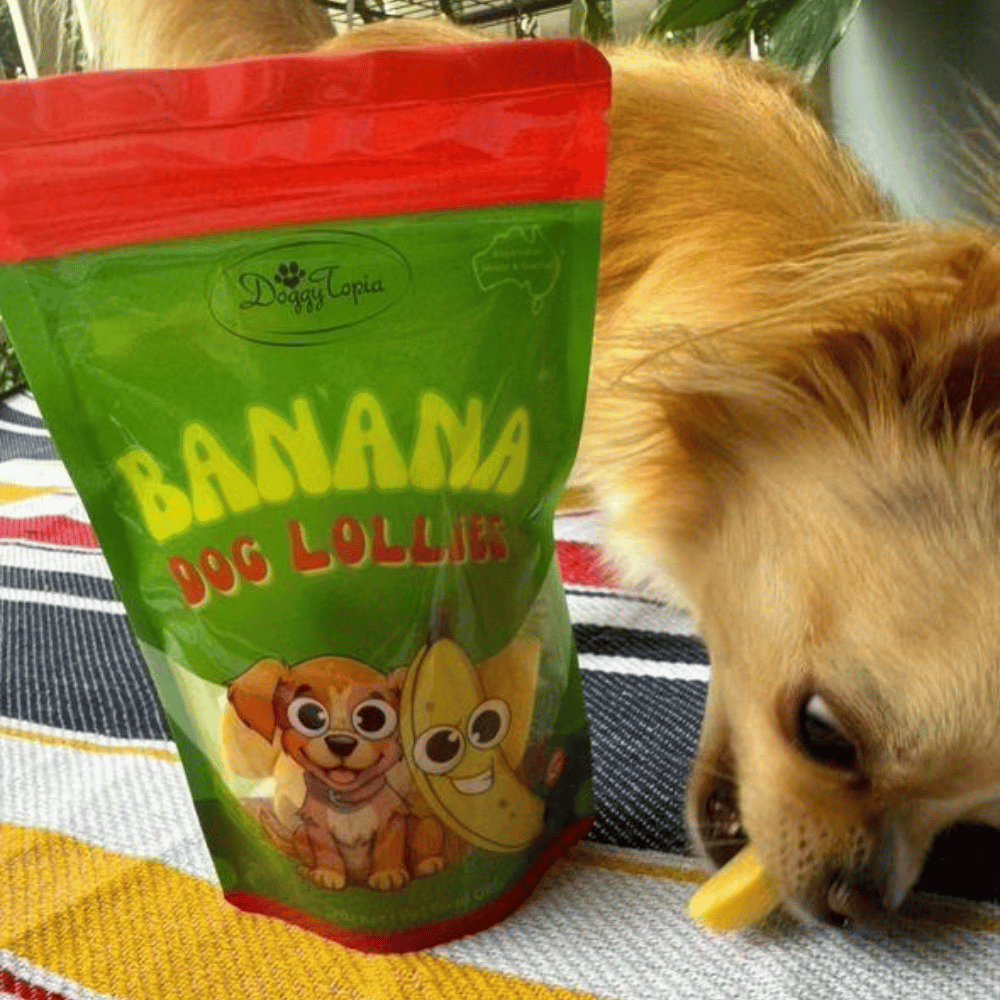 Banana Dog Lollies - Lollies from DoggyTopia at DoggyTopia