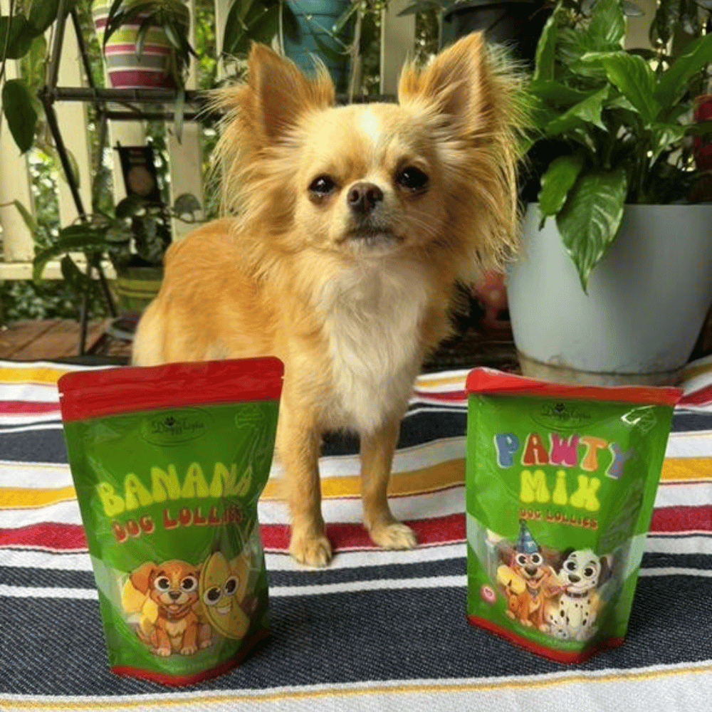 Banana Dog Lollies - Lollies from DoggyTopia at DoggyTopia