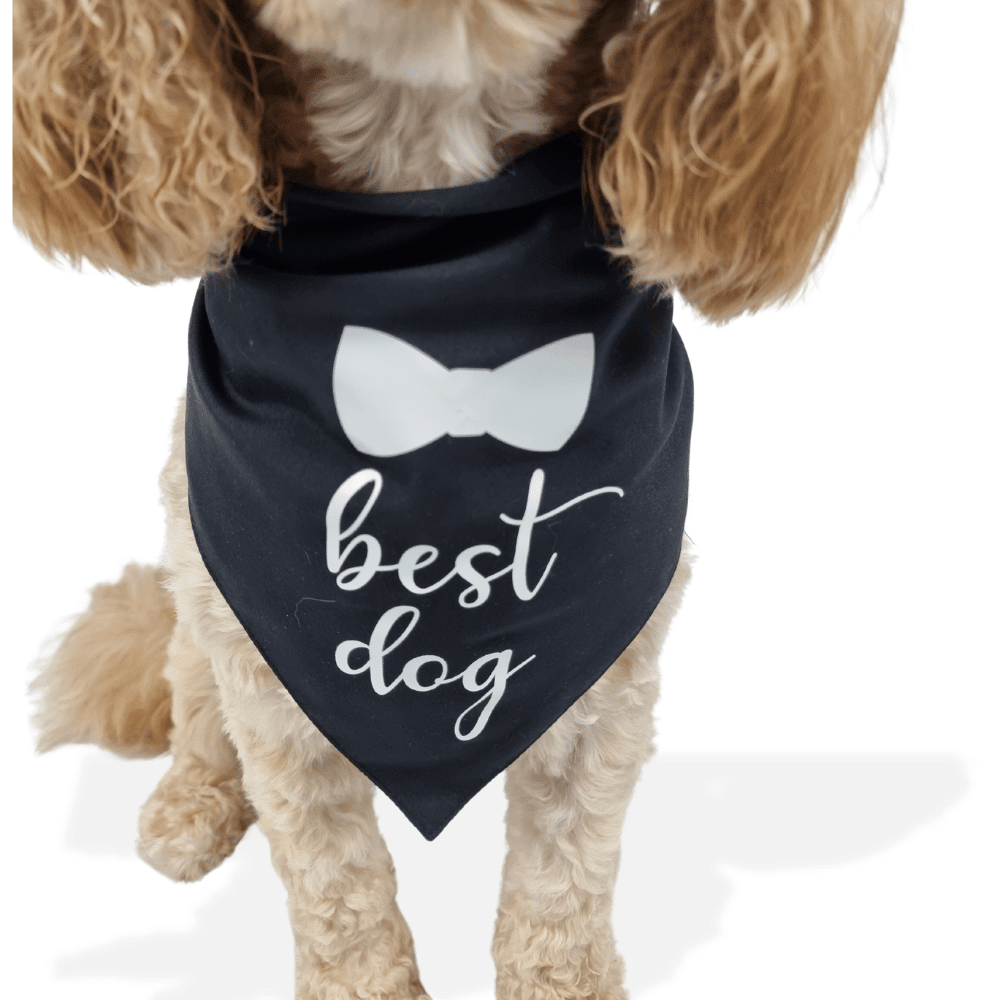 Best Dog Wedding Bandana - Wedding Bandanas from . at DoggyTopia
