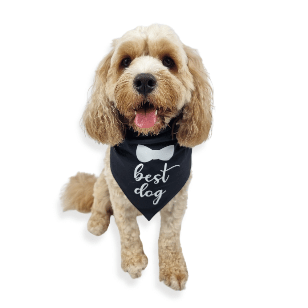 Best Dog Wedding Bandana - Wedding Bandanas from . at DoggyTopia
