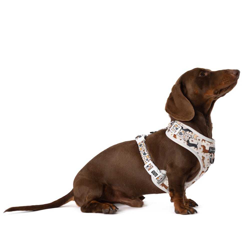 Big & Little Dogs Dashie Lovers Adjustable Harness - Adjustable Harnesses from Sale at DoggyTopia