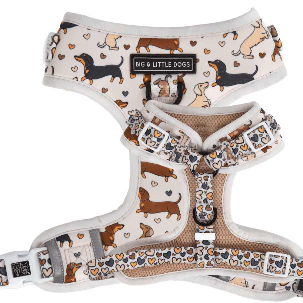 Big & Little Dogs Dashie Lovers Adjustable Harness - Adjustable Harnesses from Sale at DoggyTopia