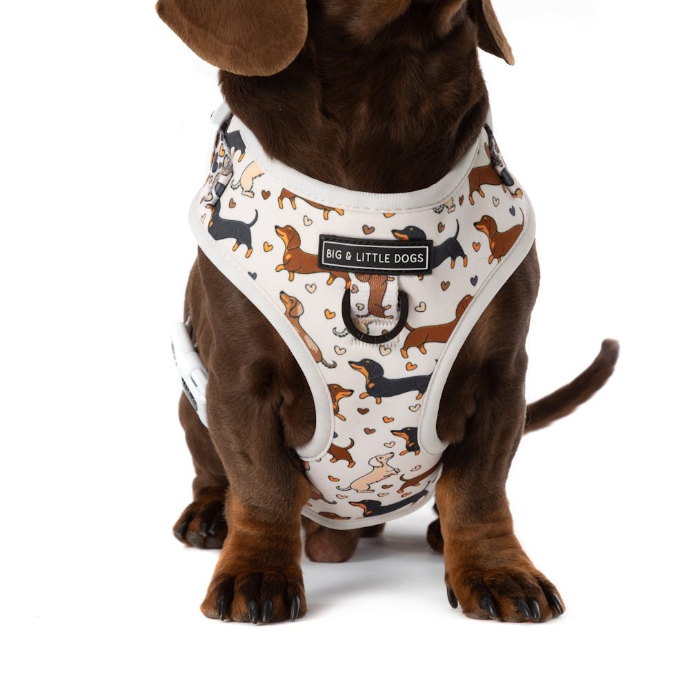 Big & Little Dogs Dashie Lovers Adjustable Harness - Adjustable Harnesses from Sale at DoggyTopia