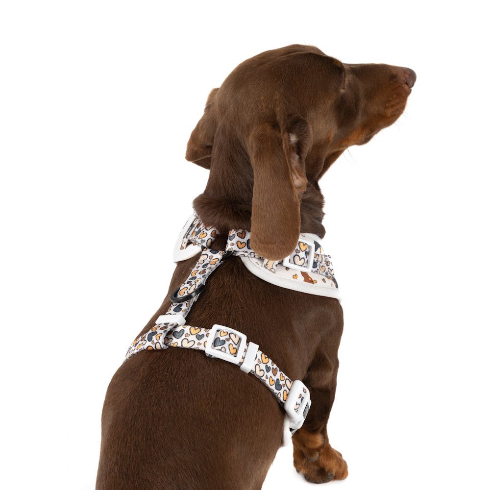 Big & Little Dogs Dashie Lovers Adjustable Harness - Adjustable Harnesses from Sale at DoggyTopia
