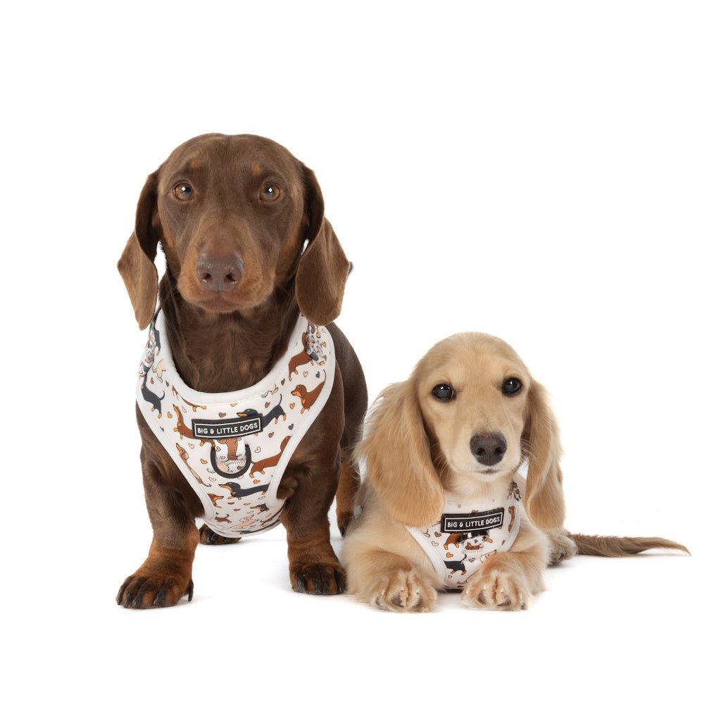 Big & Little Dogs Dashie Lovers Adjustable Harness - Adjustable Harnesses from Sale at DoggyTopia
