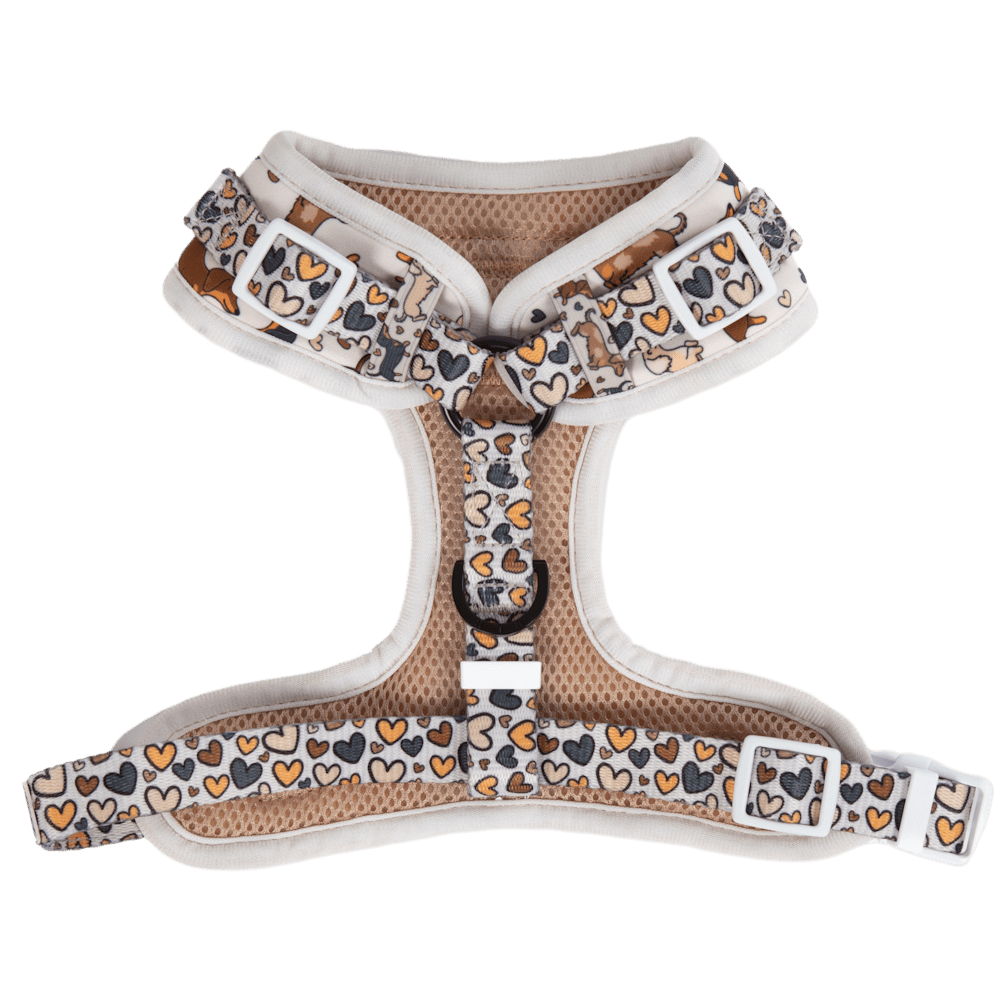Big & Little Dogs Dashie Lovers Adjustable Harness - Adjustable Harnesses from Sale at DoggyTopia