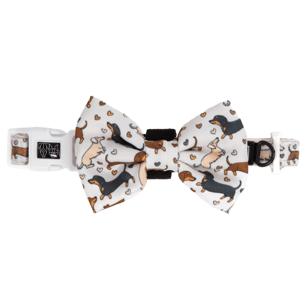 Big & Little Dogs Dashie Lovers Collar & Bow Tie - Collar & Bow Ties from Sale at DoggyTopia