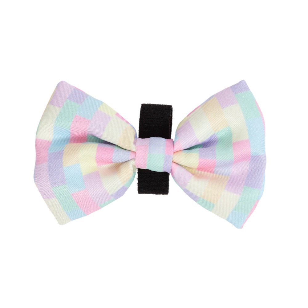 Big & Little Dogs Gelato Collar & Bow Tie - Collar & Bow Ties from Big & Little Dogs at DoggyTopia