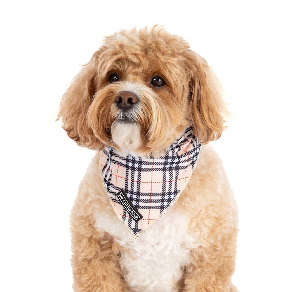 Big & Little Dogs Nova Plaid Bandana - Bandanas from Big & Little Dogs at DoggyTopia