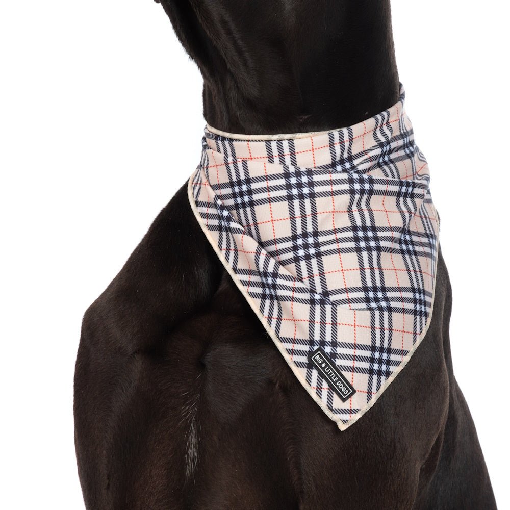 Big & Little Dogs Nova Plaid Bandana - Bandanas from Big & Little Dogs at DoggyTopia
