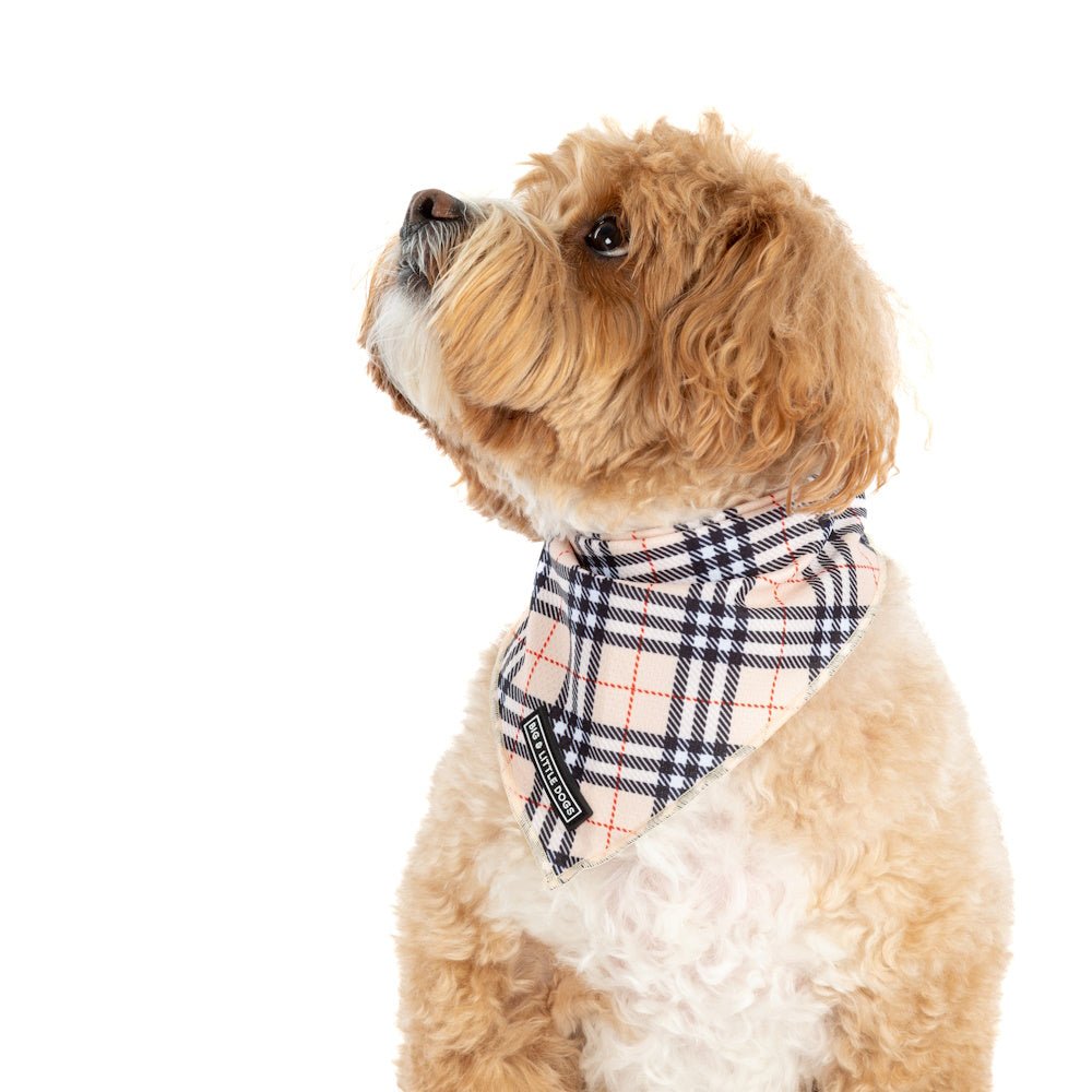 Big & Little Dogs Nova Plaid Bandana - Bandanas from Big & Little Dogs at DoggyTopia