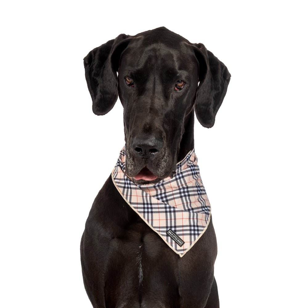 Big & Little Dogs Nova Plaid Bandana - Bandanas from Big & Little Dogs at DoggyTopia