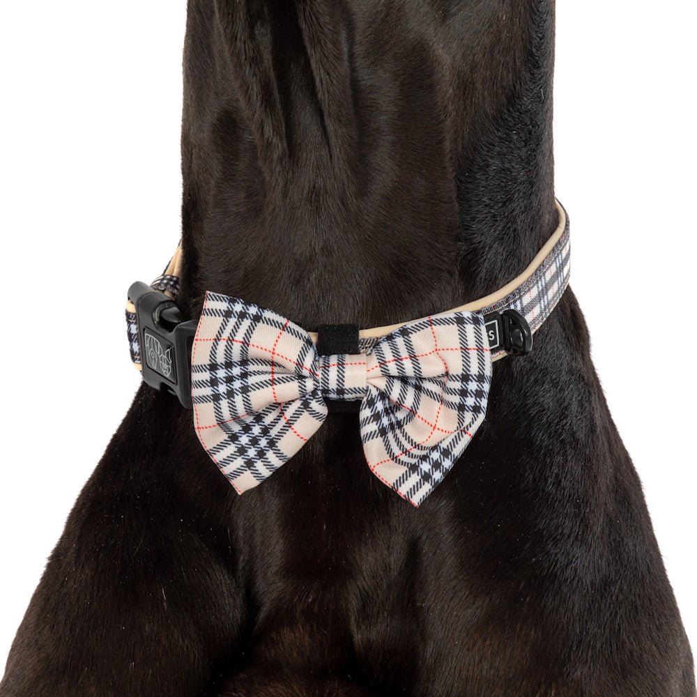 Big & Little Dogs Nova Plaid Collar & Bow Tie - Collar & Bow Ties from Big & Little Dogs at DoggyTopia