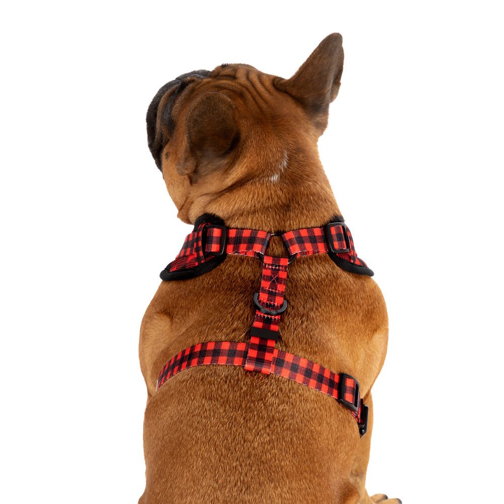 Big & Little Dogs Plaid to the Bone Adjustable Harness - Adjustable Harnesses from Big & Little Dogs at DoggyTopia