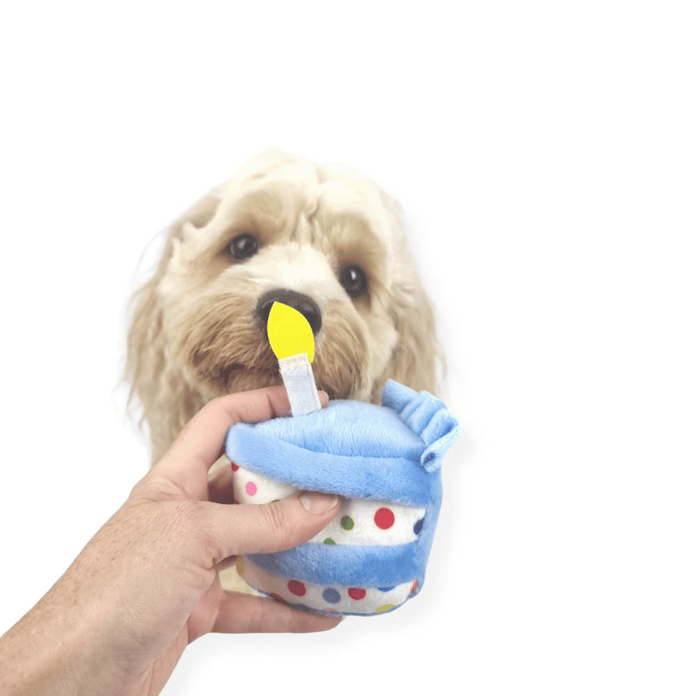 Birthday Cake Slice Dog Toy Blue - Birthday Toys from . at DoggyTopia