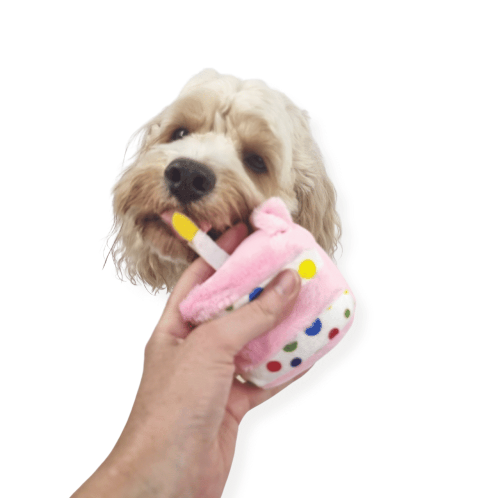 Birthday Cake Slice Dog Toy Pink - Birthday Toys from . at DoggyTopia