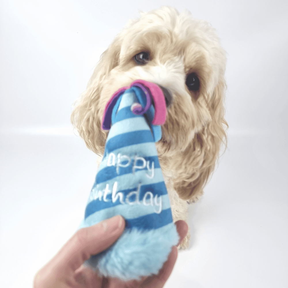 Birthday Party Hat Plush Dog Toy - Blue - Designer Toys from Haute Diggity Dog at DoggyTopia