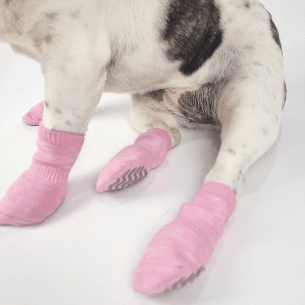 Bubblegum Pink Dog Socks - Dog Socks from . at DoggyTopia