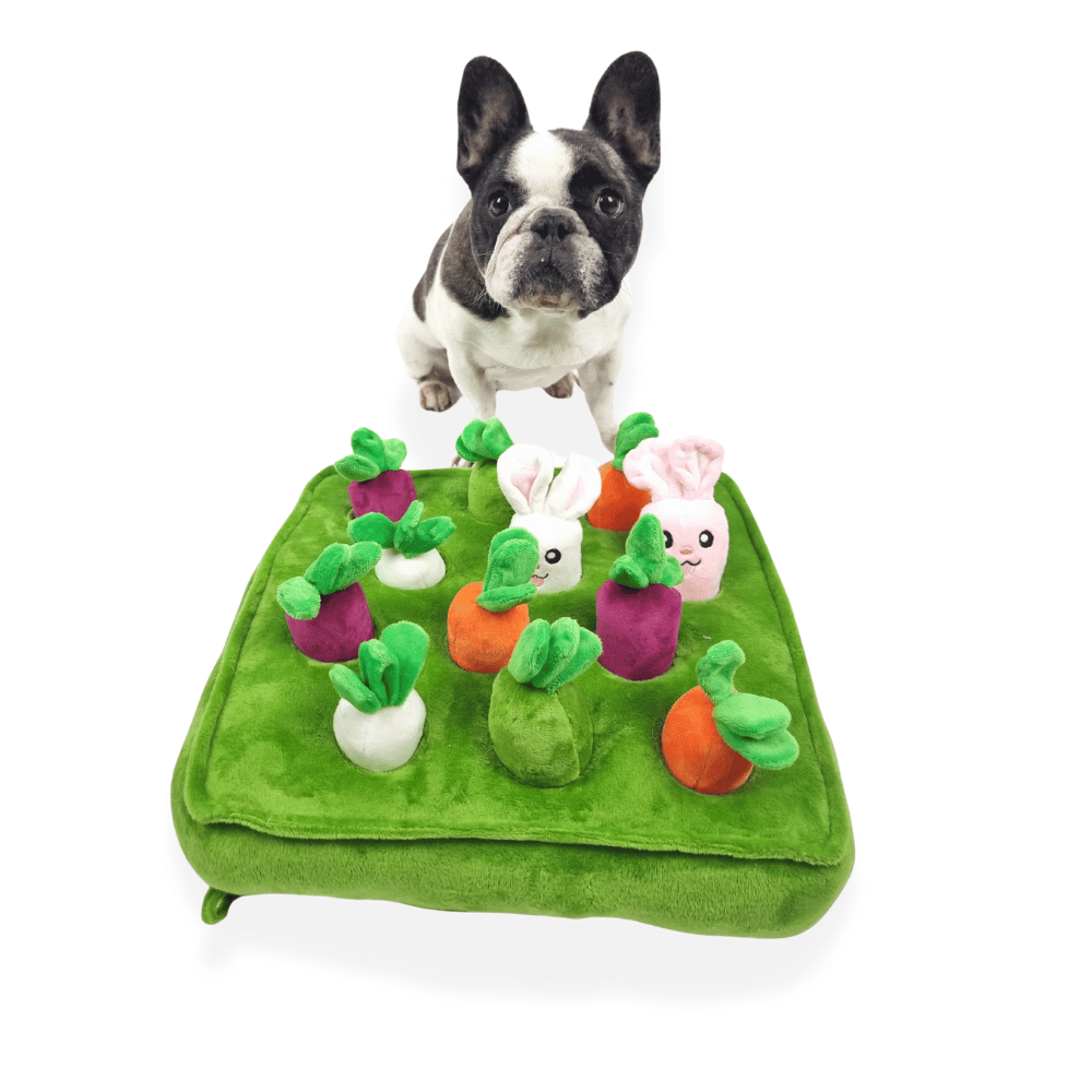 Bunny Garden Nose Work Toy - Foraging Toy from . at DoggyTopia