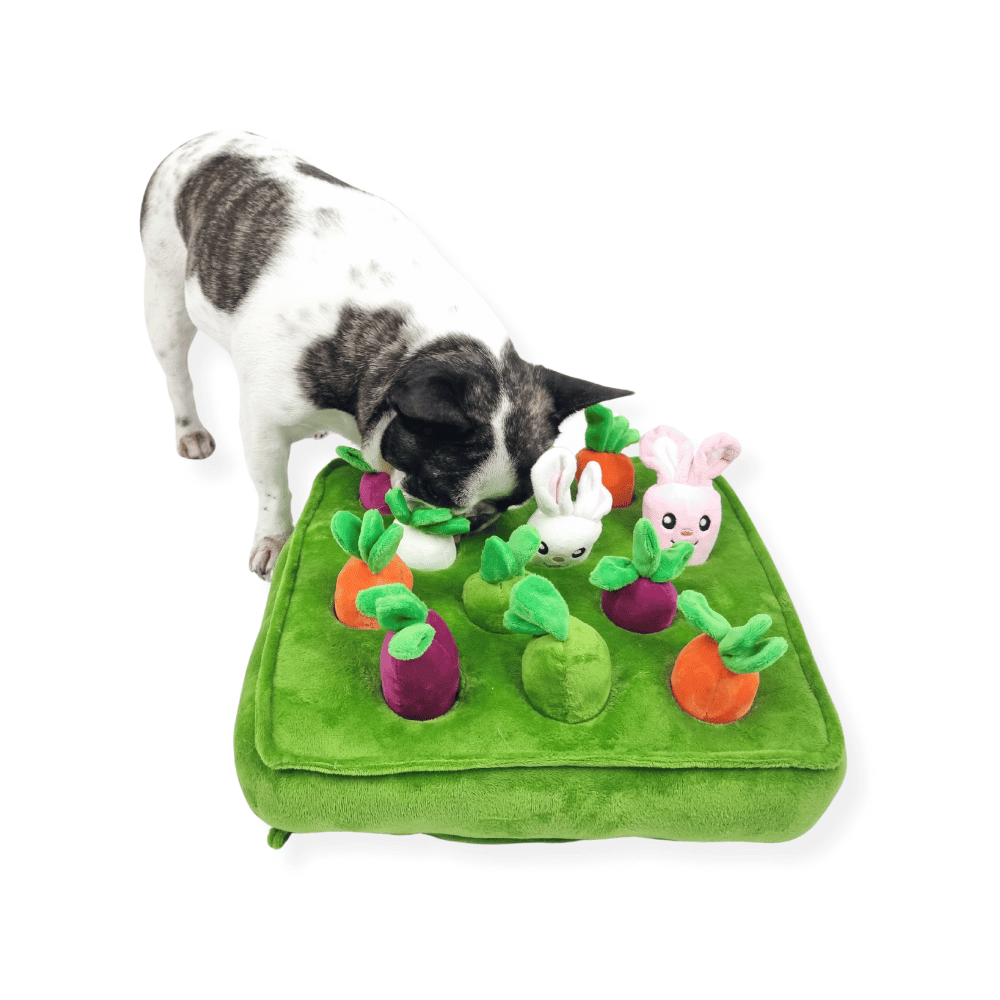 Bunny Garden Nose Work Toy - Foraging Toy from . at DoggyTopia