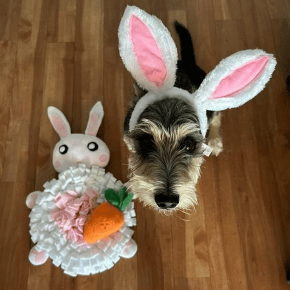 Bunny Snuffle Mat - Snuffle Mats from . at DoggyTopia