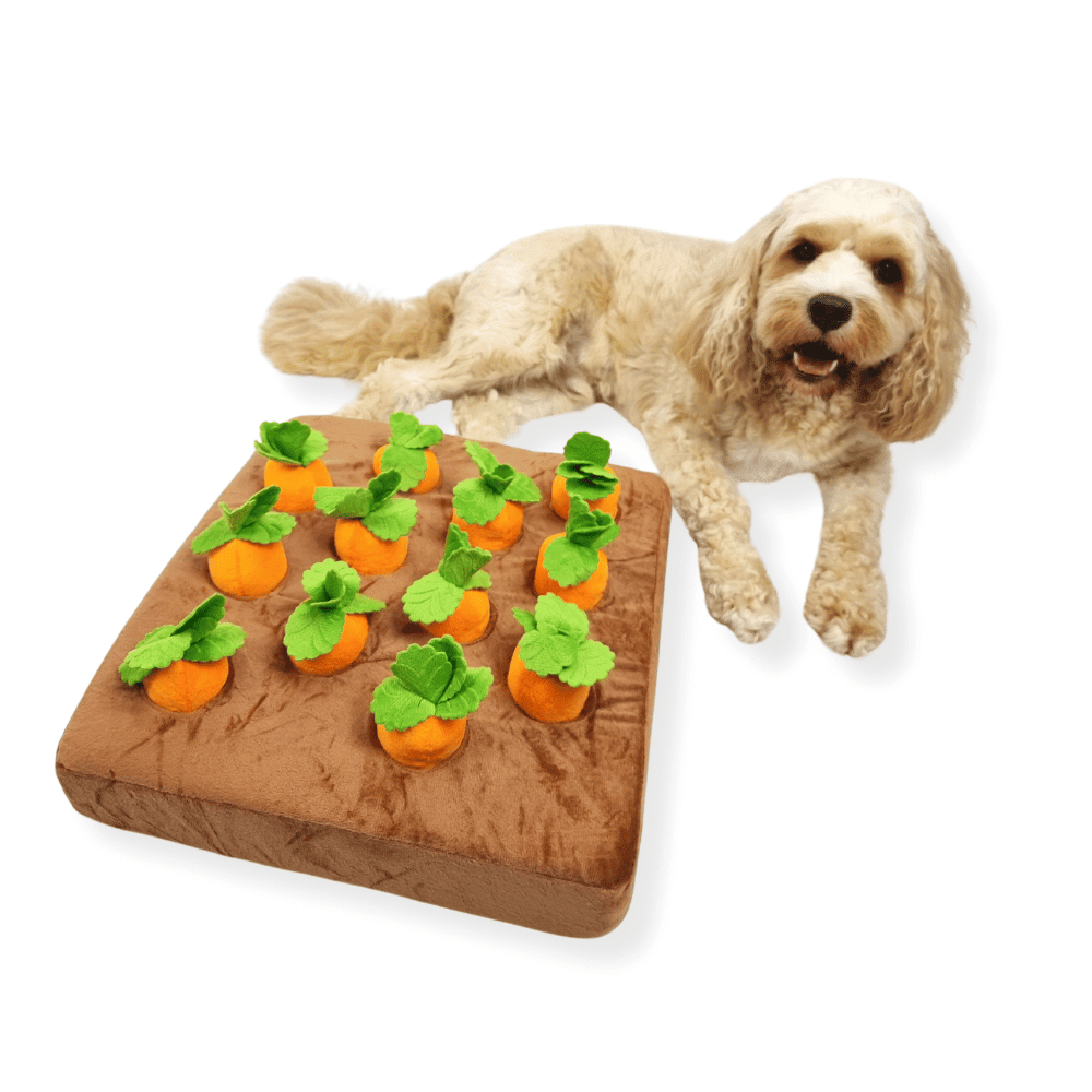 Carrot Patch Nose Work Toy - Foraging Toy from . at DoggyTopia