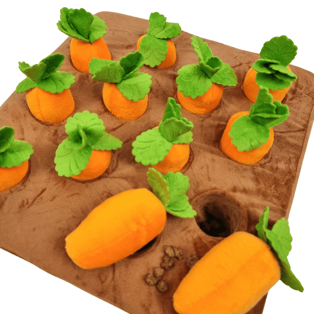Carrot Patch Nose Work Toy - Foraging Toy from . at DoggyTopia