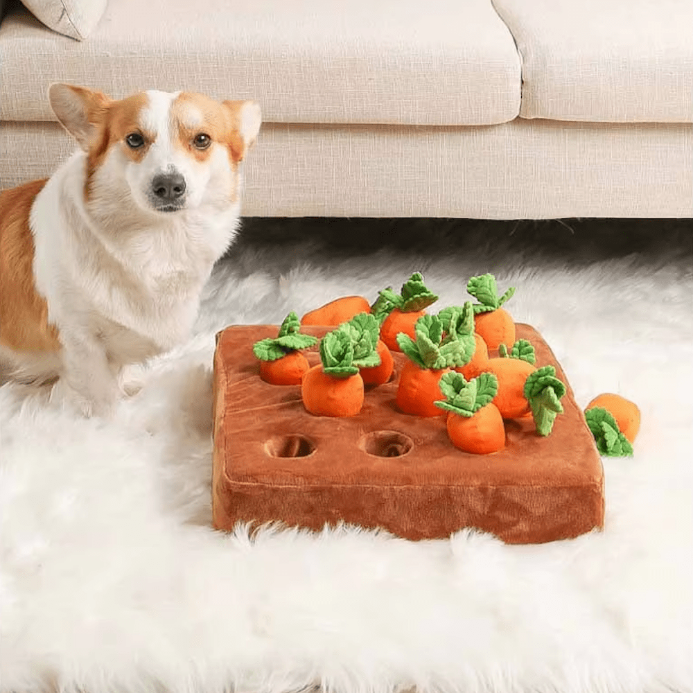Carrot Patch Nose Work Toy - Foraging Toy from . at DoggyTopia