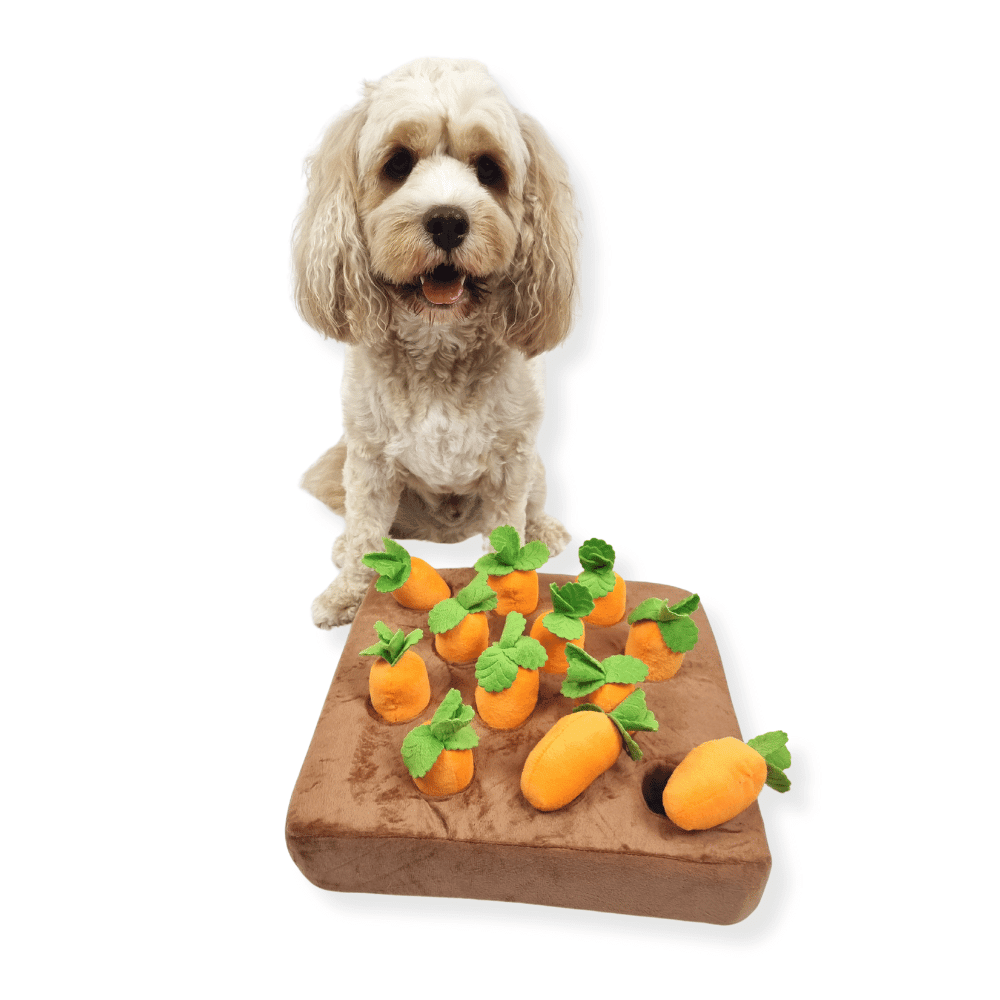 Carrot Patch Nose Work Toy - Foraging Toy from . at DoggyTopia
