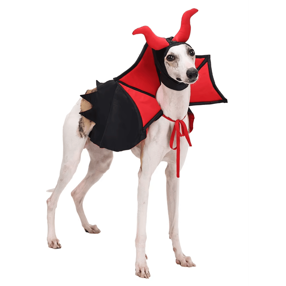 Devil Vampire Dog Costume - Costumes from Halloween at DoggyTopia