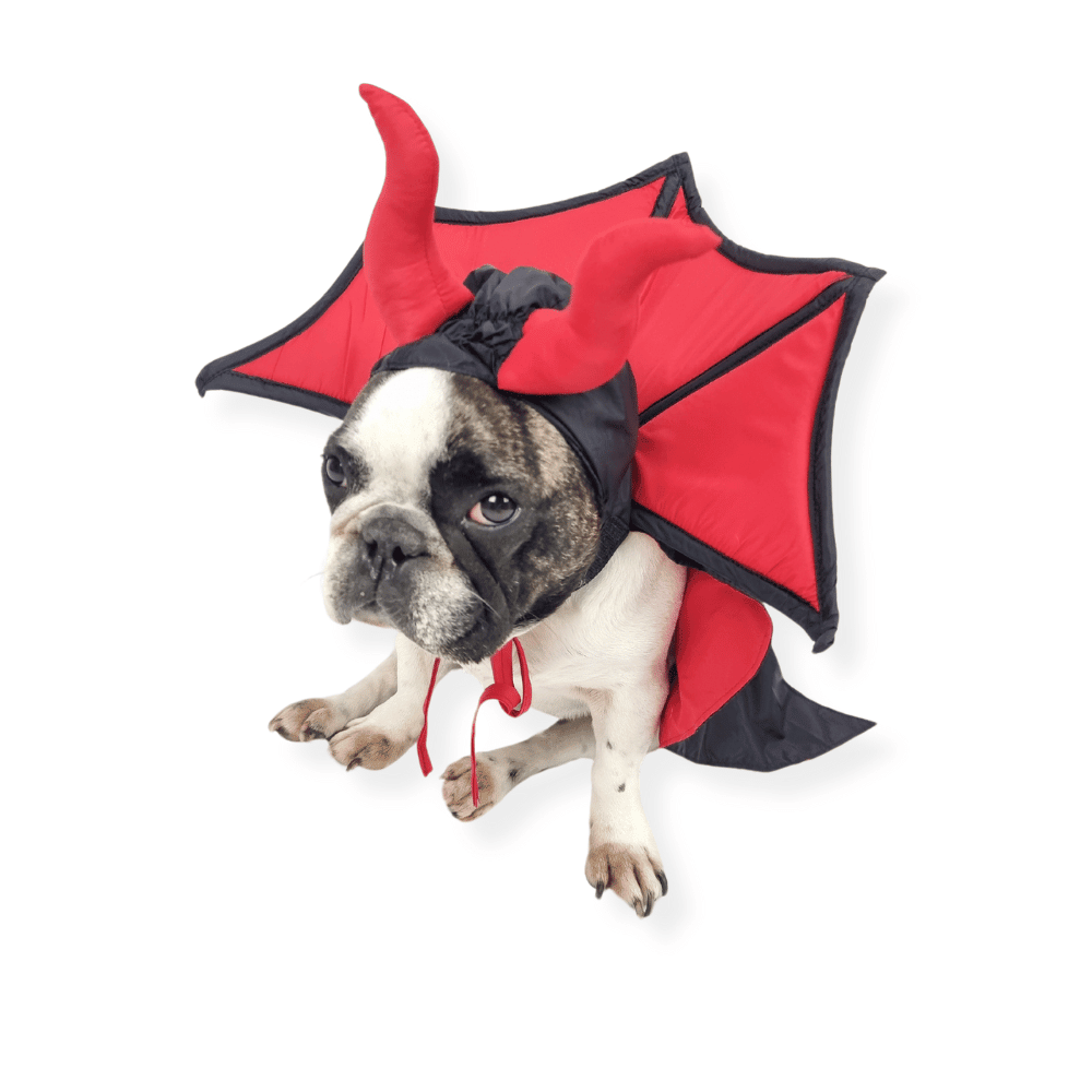 Devil Vampire Dog Costume - Costumes from Halloween at DoggyTopia