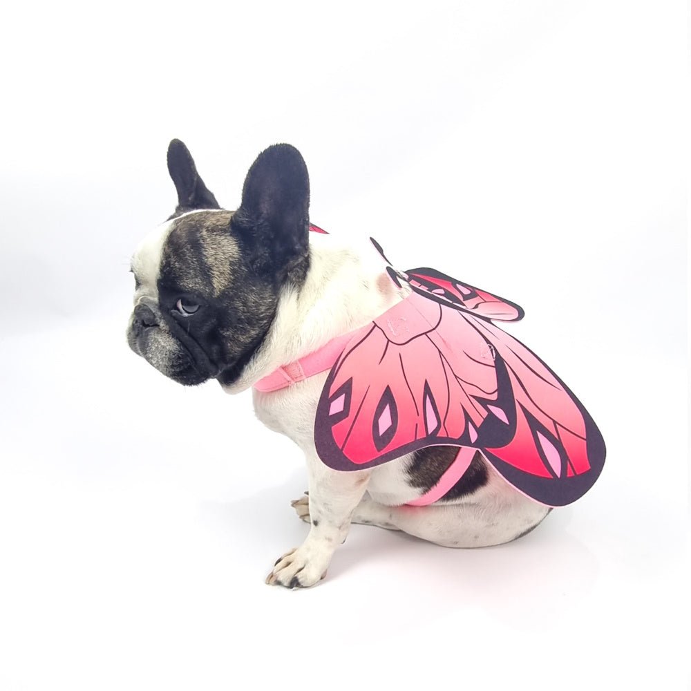 Dog Butterfly Wings - Costumes from . at DoggyTopia