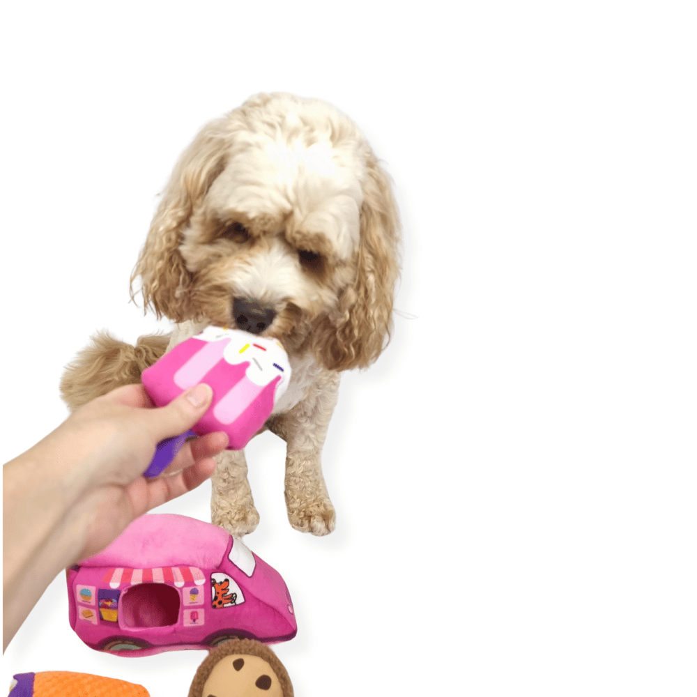 Dog Ice Cream Truck Burrow Toy - Interactive Toys from . at DoggyTopia
