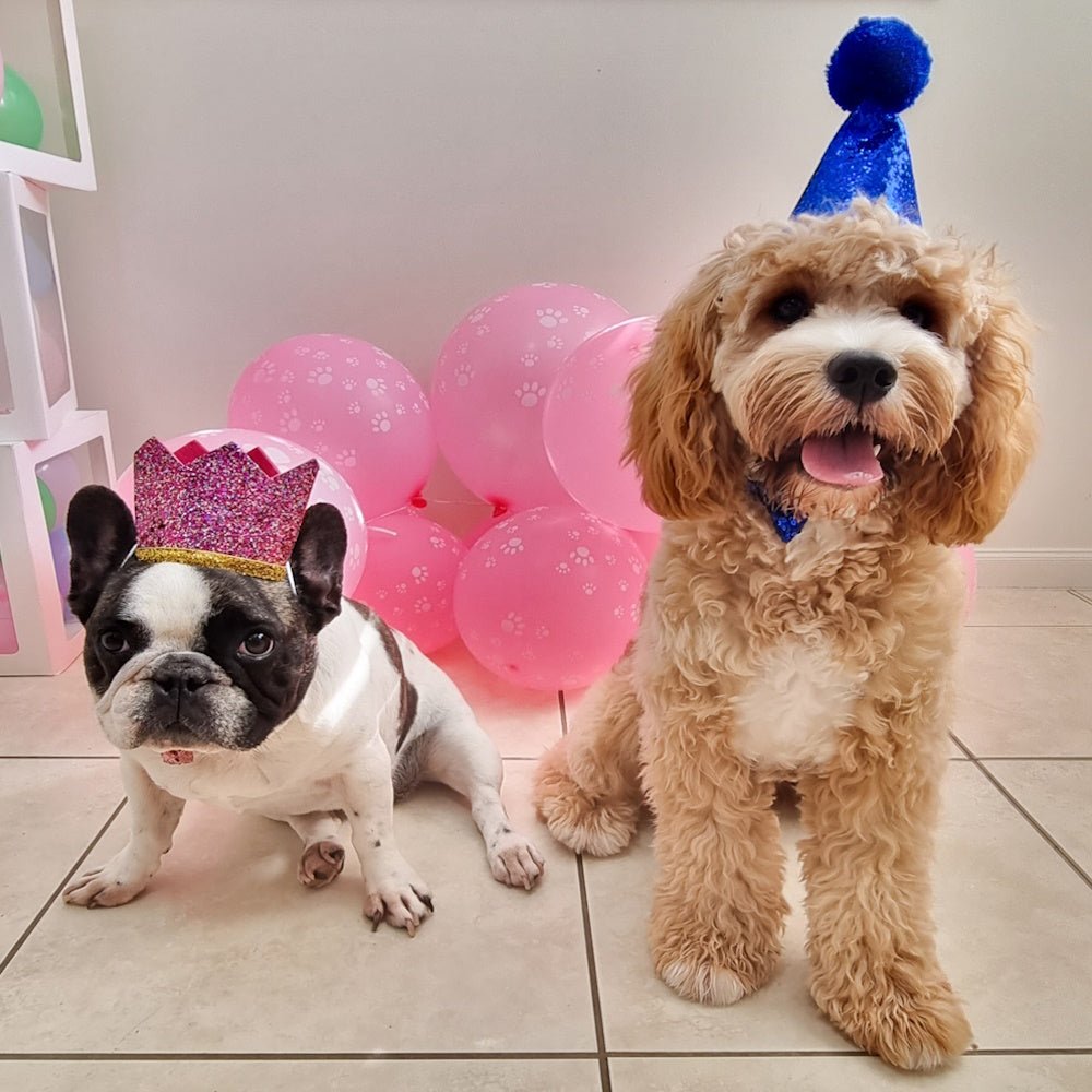Dog Party Hat & Bow Tie Collar - Custom Age - Dog Party Hats from . at DoggyTopia